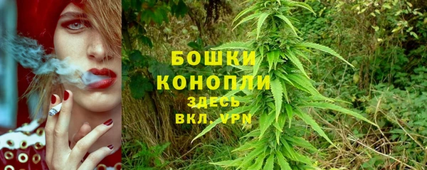 амф Ступино