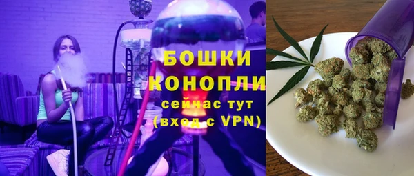 амф Ступино