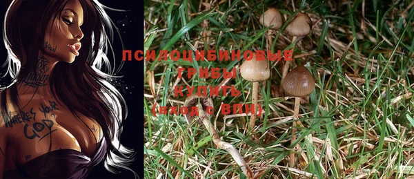гашик Струнино
